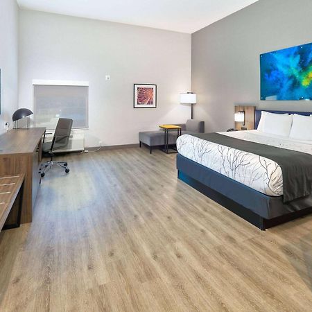 La Quinta Inn & Suites By Wyndham Dallas/Fairpark Exteriér fotografie